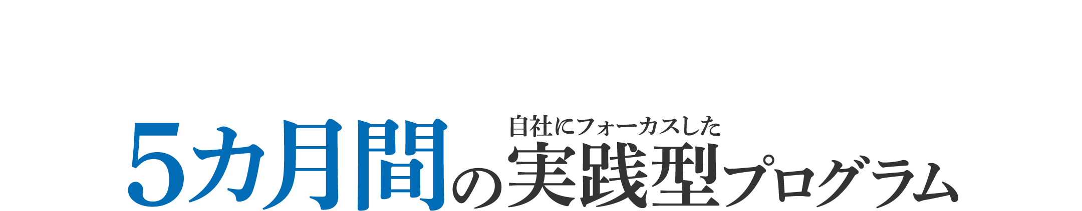 5カ月間の自社にフォーカスした実践型プログラム