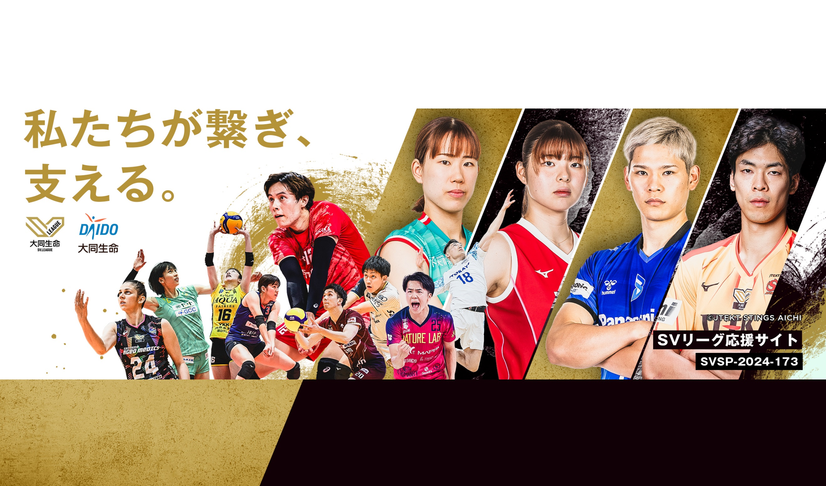 次の正解標準をここから。大同生命SV.LEAGUE ATTACK THE TOP